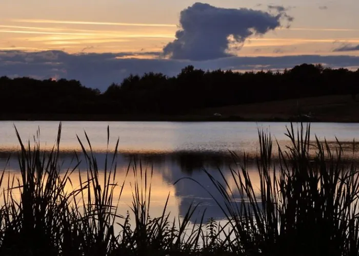 Pour 6 Personnes Avec Terrasse Et Cuisine équipée - Api-1-52-1376